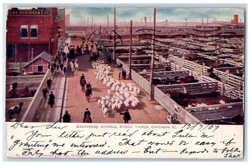 1907 Exchange Avenue Stock Yards Sheep Barn Flock Chicago Illinois IL Postcard