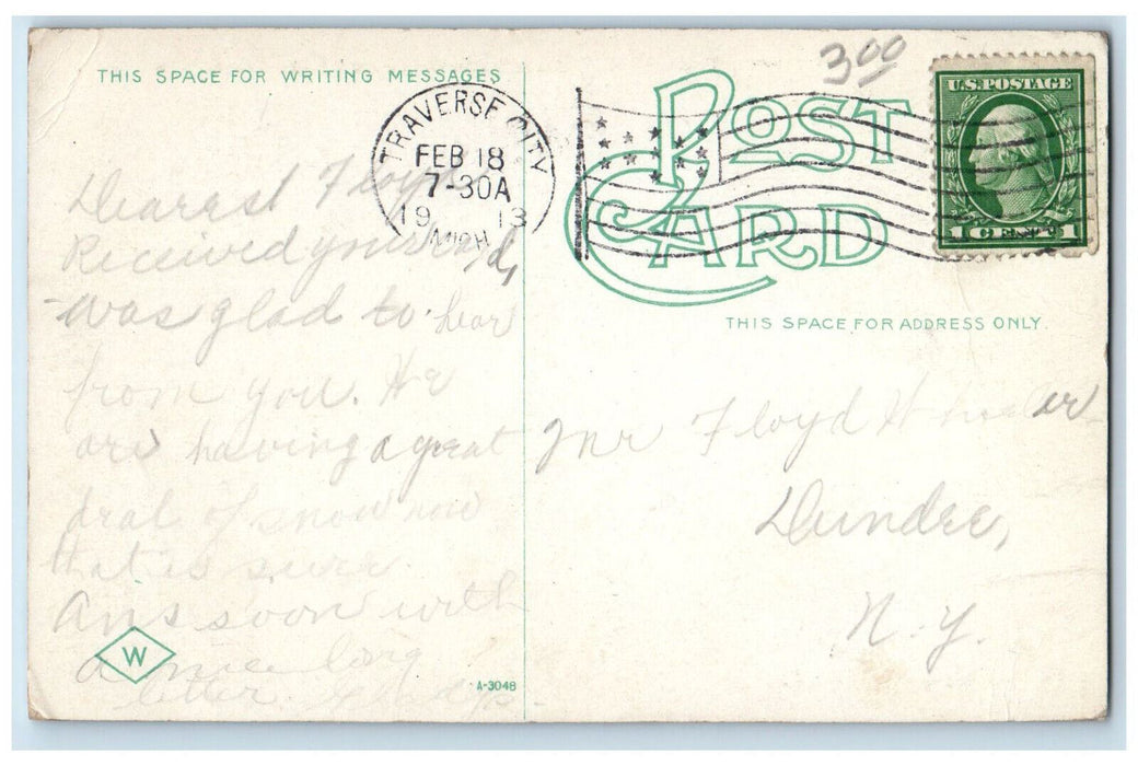 1913 Sixth Street And Public Library Tree-lined Scene Traverse City MI Postcard