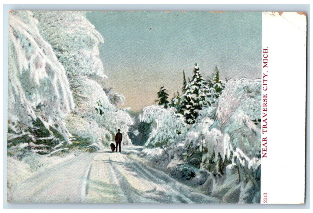 Winter Show Pine Trees Scene Near Traverse City Michigan MI Vintage Postcard