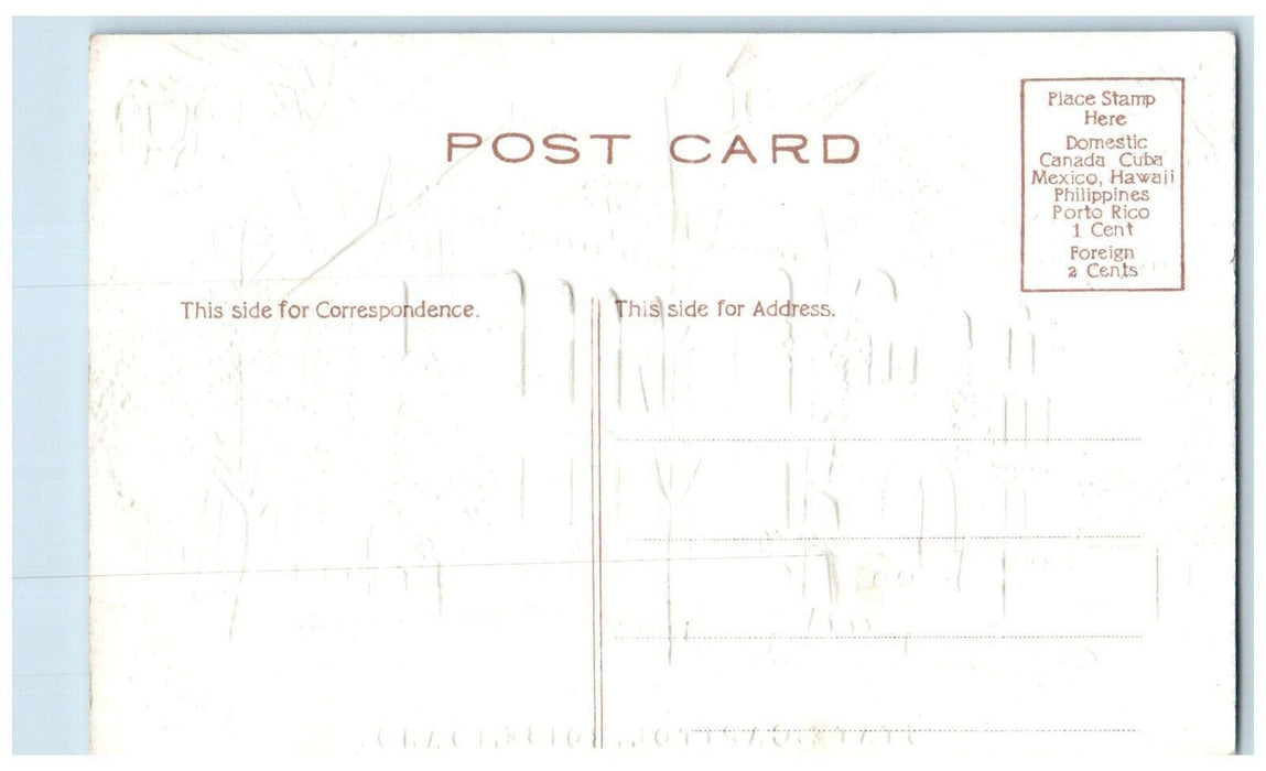 c1910 State Capitol Exterior Building Boise Idaho ID Embossed Vintage Postcard