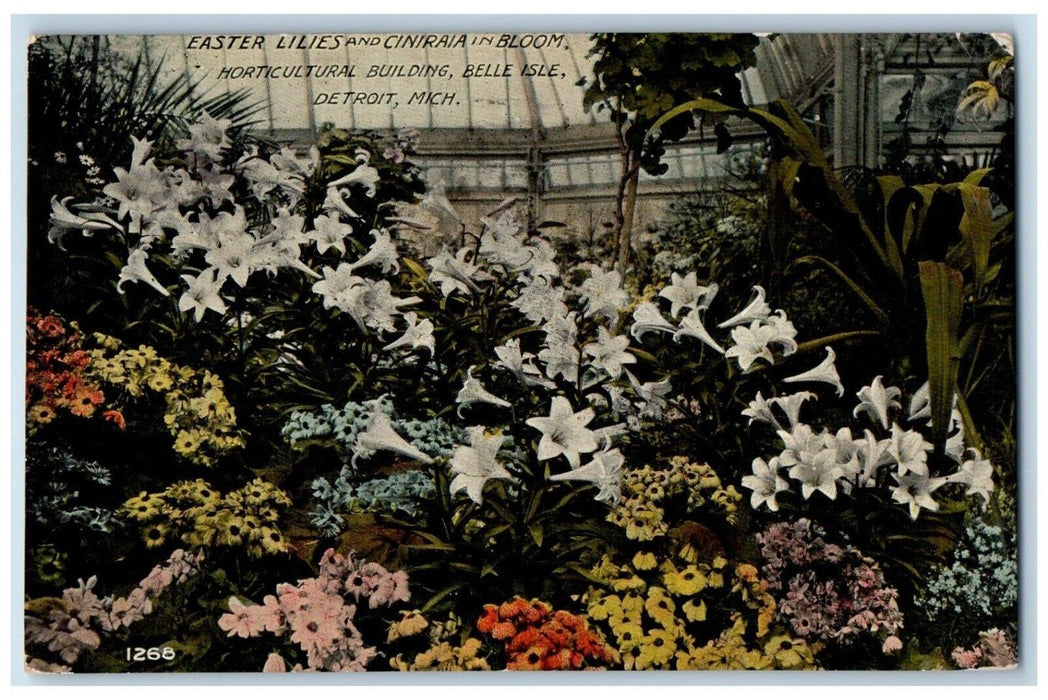 c1910 Easter Lilies Ciniraia Bloom Horticultural Bldg Detroit Michigan Postcard