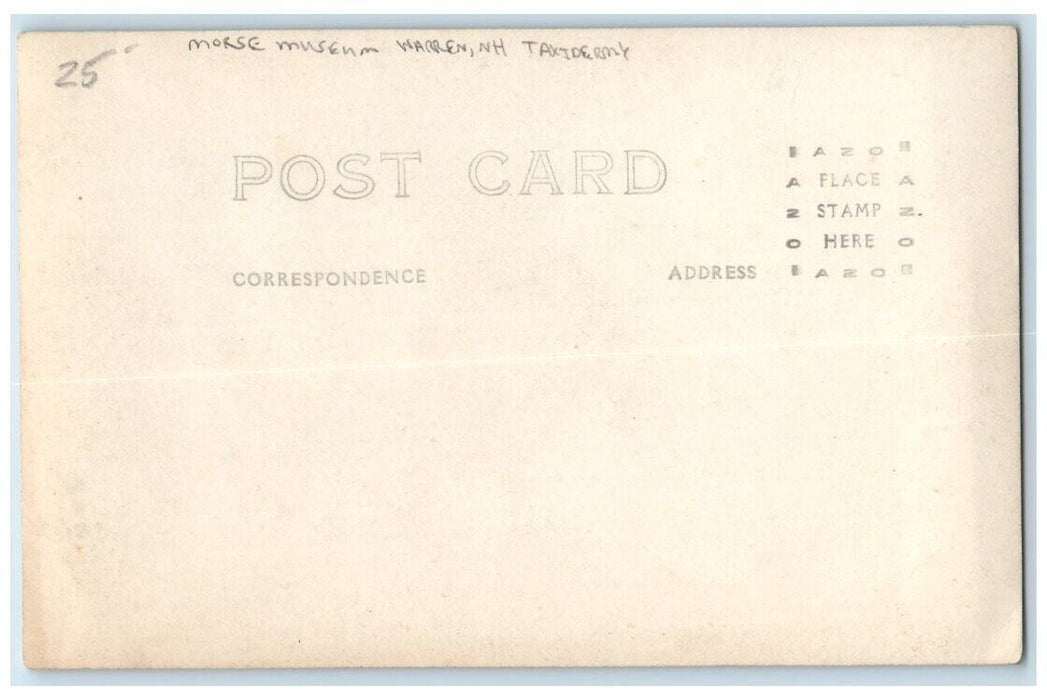 c1920 Morse Museum Taxidermy Lion Giraffe Hyena Warren NH RPPC Photo Postcard