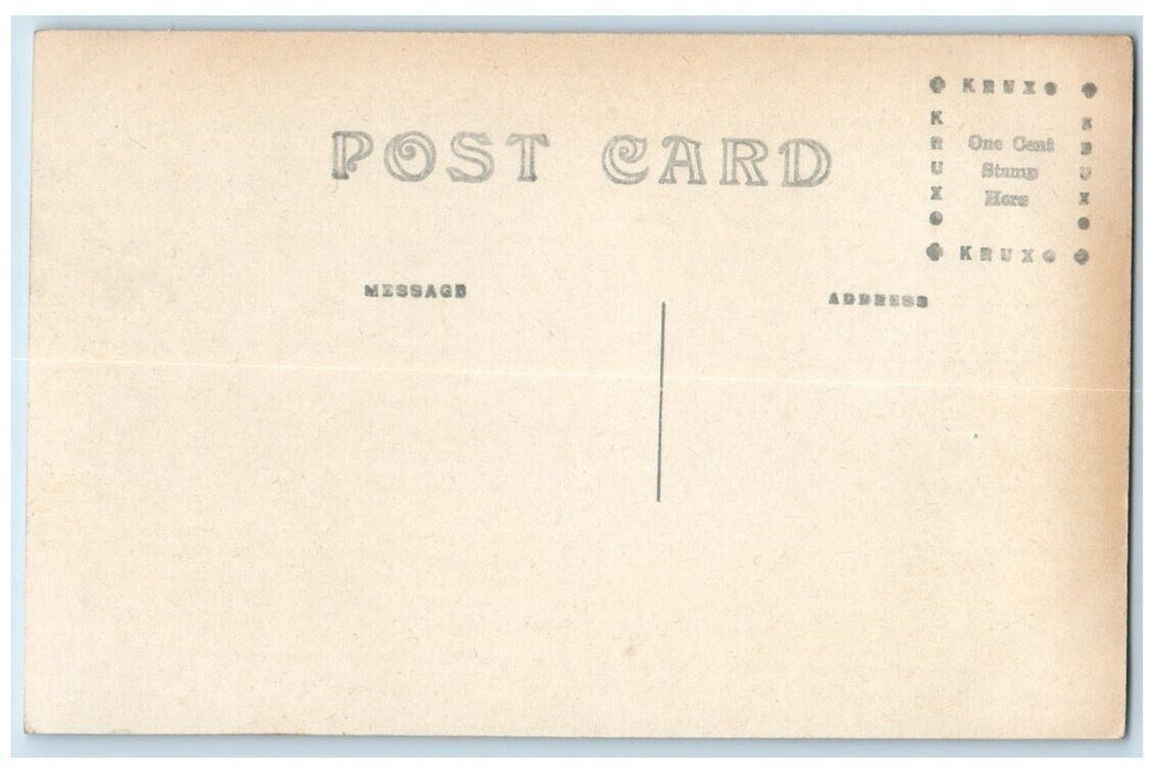 c1910 Worth County Court House View Northwood Iowa IA RPPC Photo Postcard