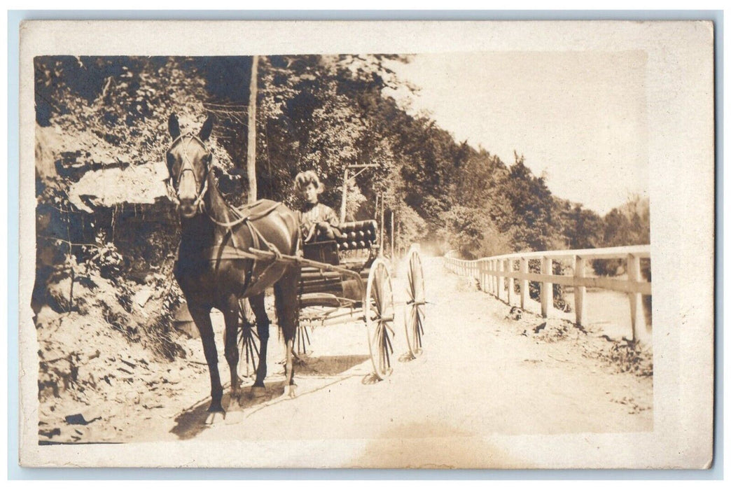 c1910's Woman Riding Horse Carriage Dirt Road Antique RPPC Photo Postcard