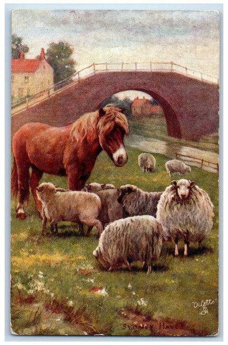 1909 Sydney Hayes Horse Sheep Contented Willowdale KS Oilette Tuck Art Postcard