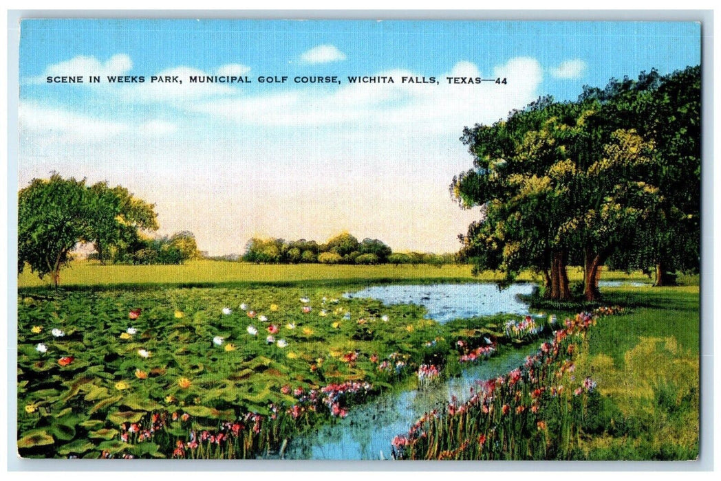 c1940 Scene Weeks Park Municipal Golf Course Garden Wichita Falls Texas Postcard