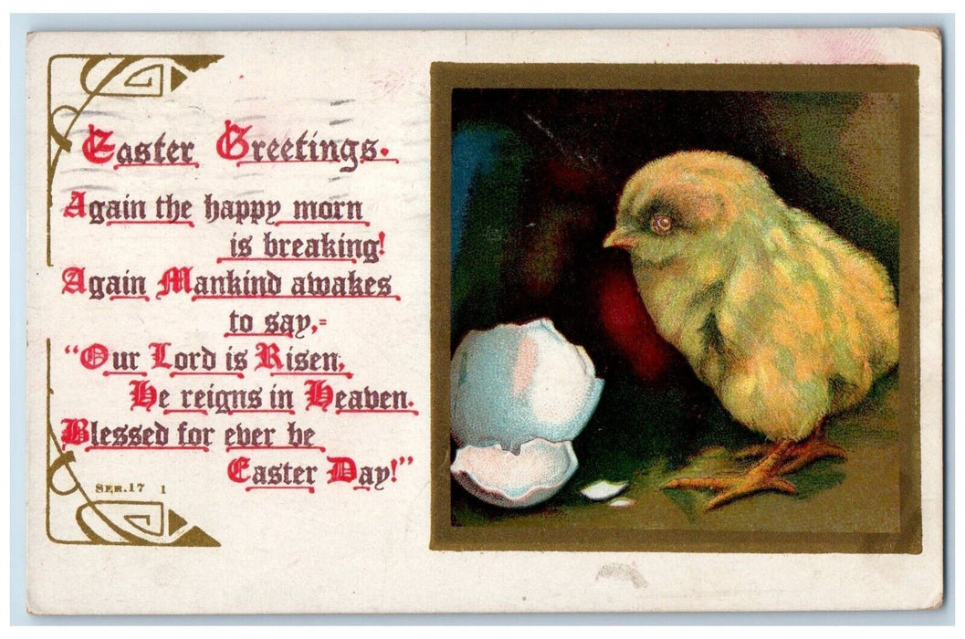 1911 Easter Greetings Chick Hatched Egg Buffalo New York NY Antique Postcard