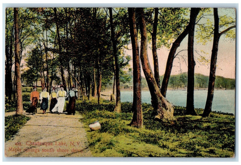 1909 Maple Springs South Shore Drive Tourist Trees Chautauqua Lake NY Postcard