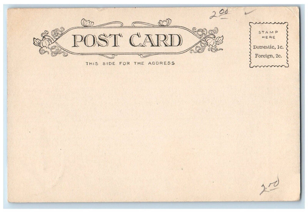 c1905 Pontoosuc Lake Canoe Boat Pittsfield Massachusetts MA Antique Postcard