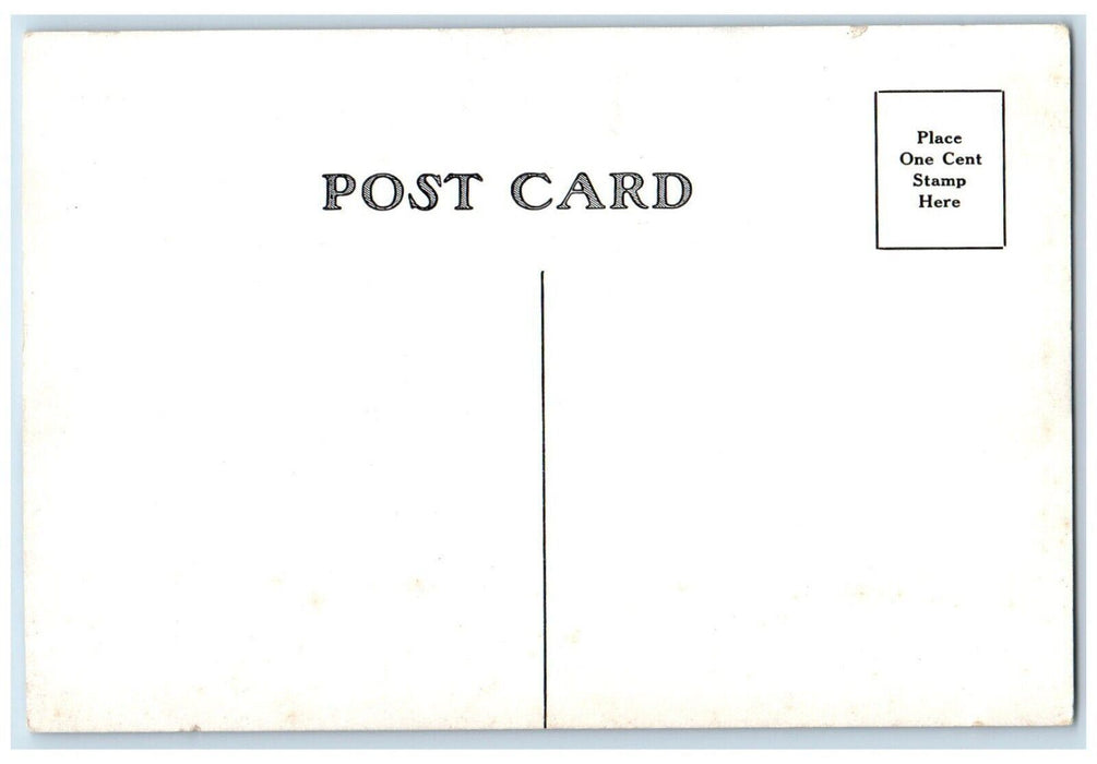 c1910's The Essex And Wolverine Perry's Flag Ship Niagara Buffalo NY Postcard