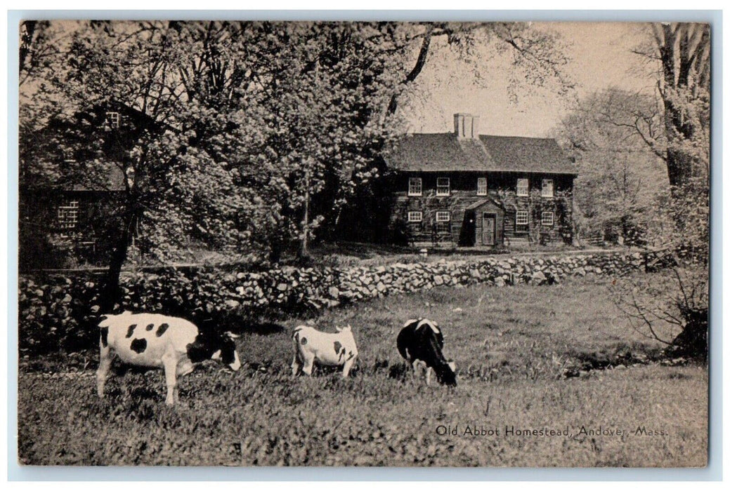 c1930's Old Abbot Homestead Andover Massachusetts MA, Cows Scene Postcard