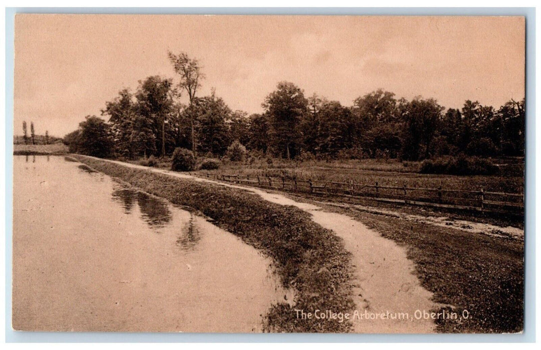 c1910's The College Dirt Road River Arboretum Oberlin Ohio OH Antique Postcard