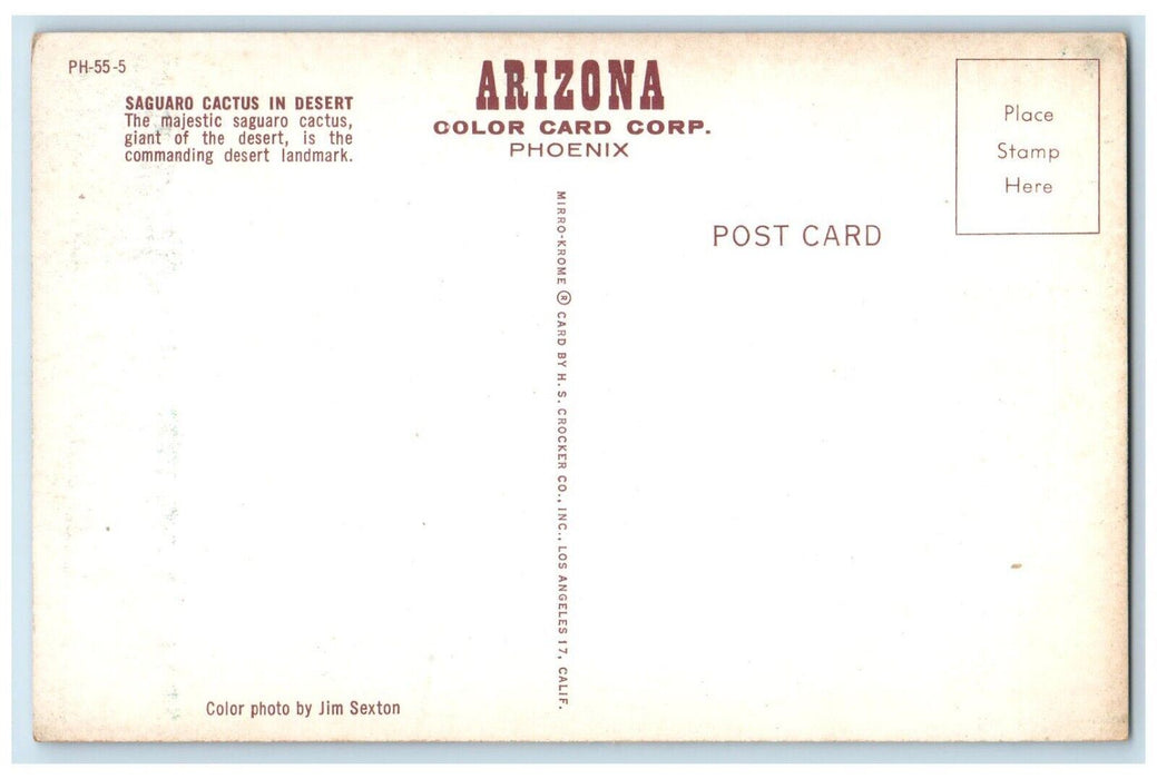 Saguaro Giant Cactus In Desert Phoenix Arizona AZ Unposted Vintage Postcard