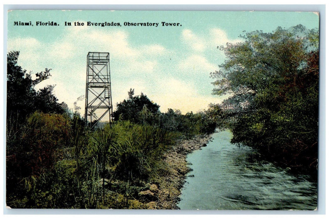 c1910 In The Everglades Observatory Tower Miami Florida FL Antique Postcard