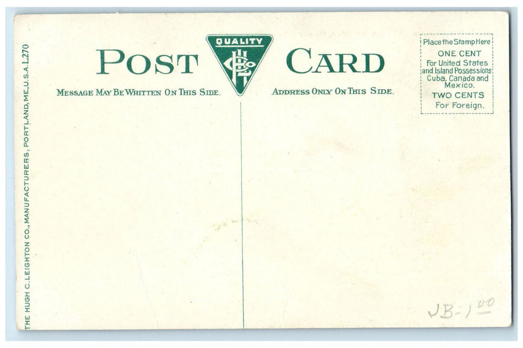 c1910 In The Everglades Observatory Tower Miami Florida FL Antique Postcard