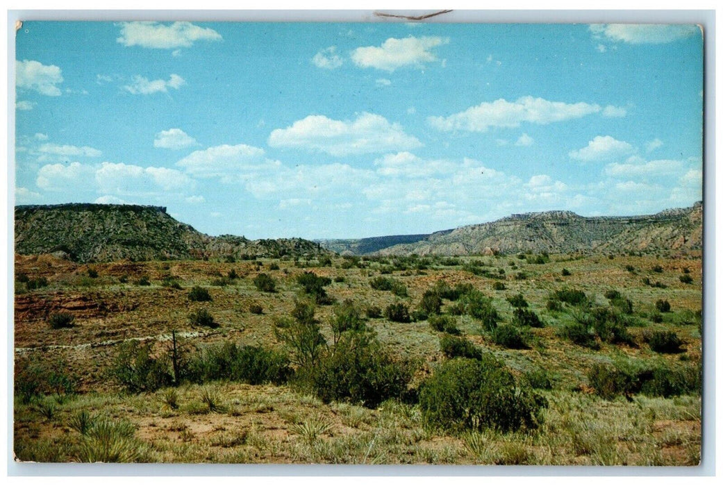 c1960's Frying Pan Mesa In Palo Duro Canyon Amarillo Texas TX Vintage Postcard