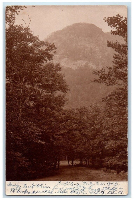 1905 Eagle Cliff Forest View Profile House New Hampshire NH RPPC Photo Postcard