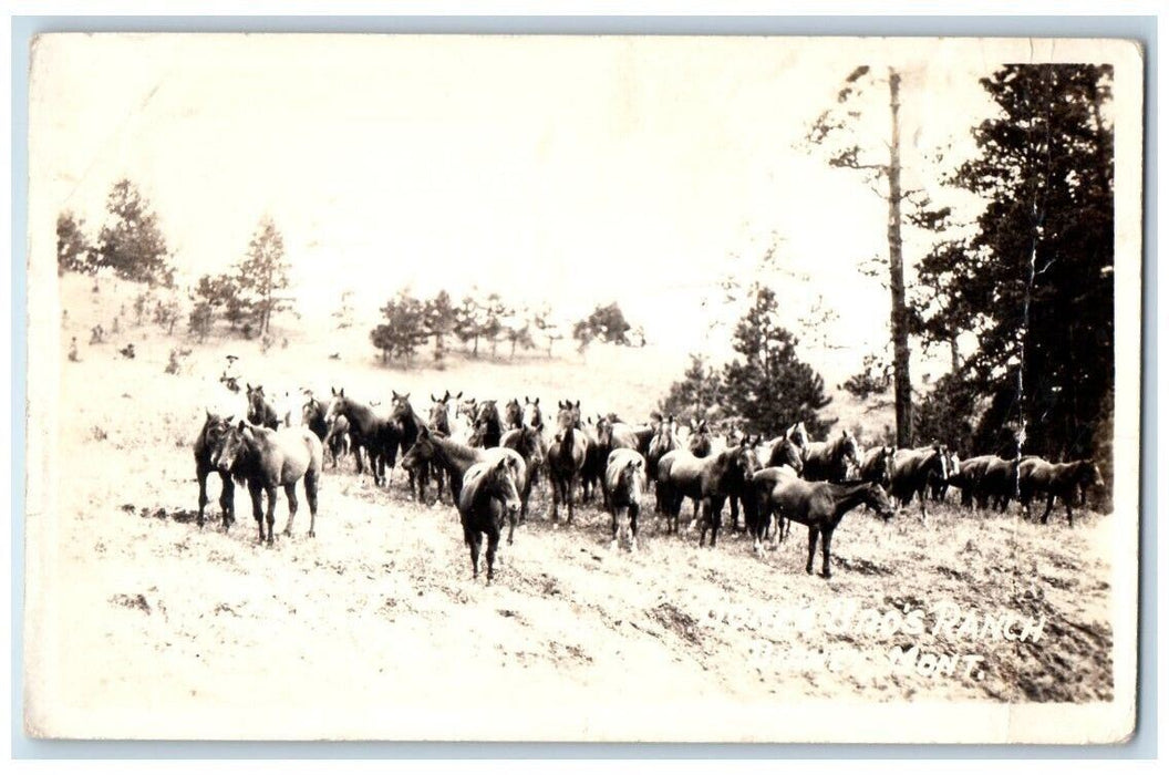 c1905 Bones Brothers Horse Ranch Birney Montana MT RPPC Photo Postcard