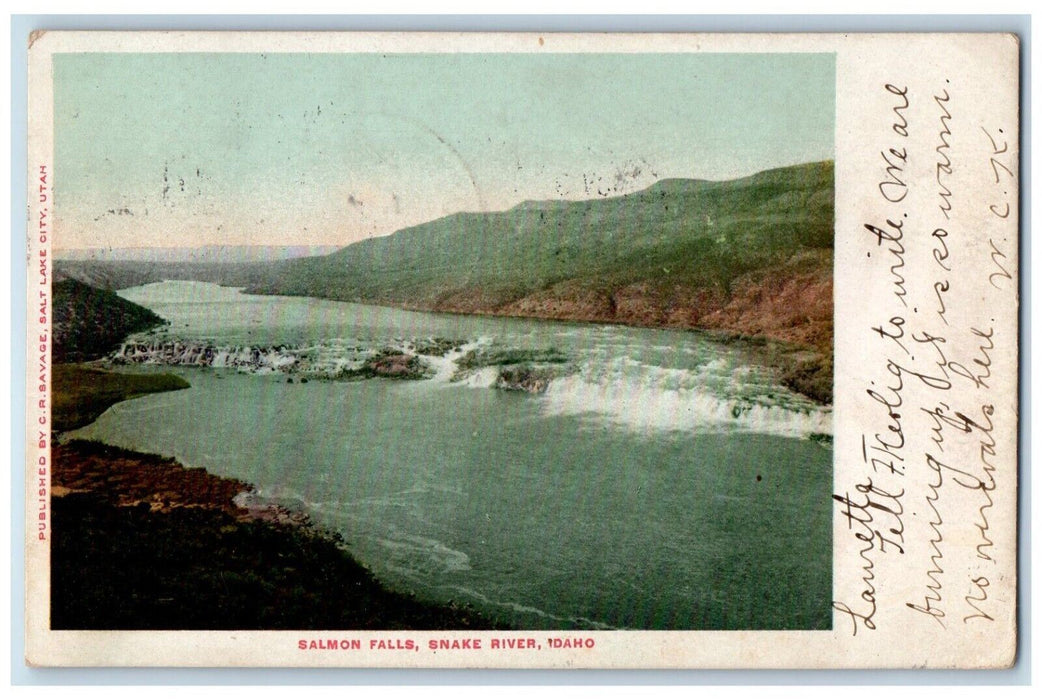 1905 Scenic View Salmon Falls Snake River Mountain Idaho ID Dunkirk NY Postcard