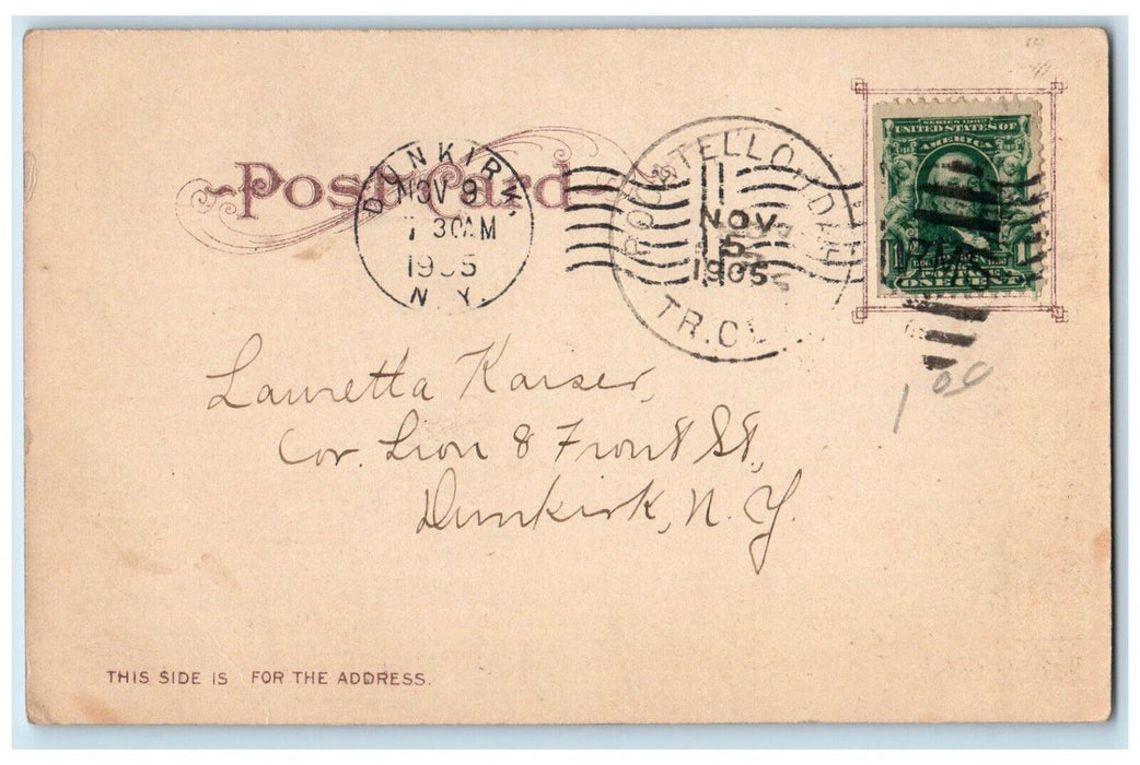 1905 Scenic View Salmon Falls Snake River Mountain Idaho ID Dunkirk NY Postcard