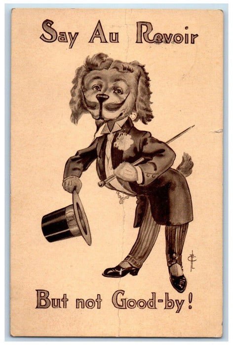 c1910's Anthropomorphic Dog Magician France Elwood Iowa IA Antique Postcard
