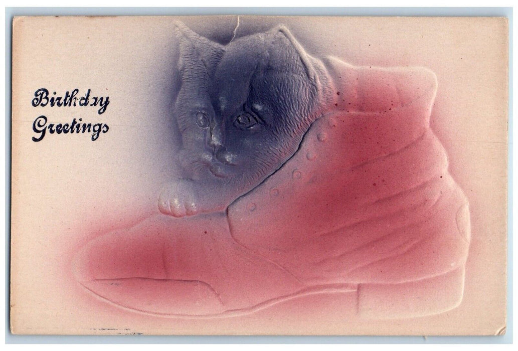 c1910's Birthday Greetings Cat Kitten In Boot Shoe Airbrushed Embossed Postcard