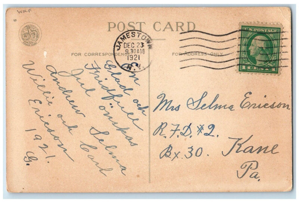 1911 Christmas Greeting Berries Sailboat Wolf Embossed Jamestown NY Postcard