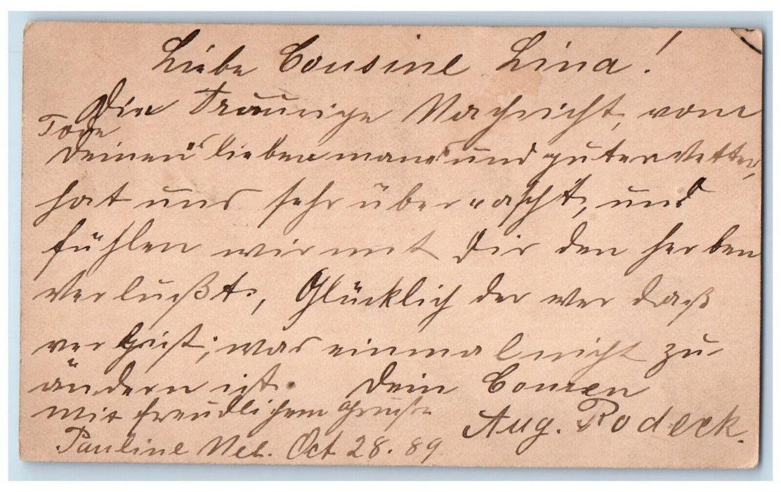 1889 German Hastings Omaha Pauline Nebraska NE Antique Posted Postal Card