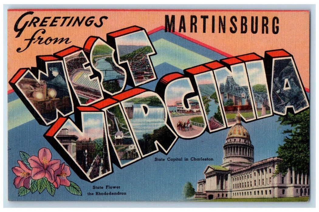 1948 Greetings From State Flower Martinsburg West Virginia Large Letter Postcard