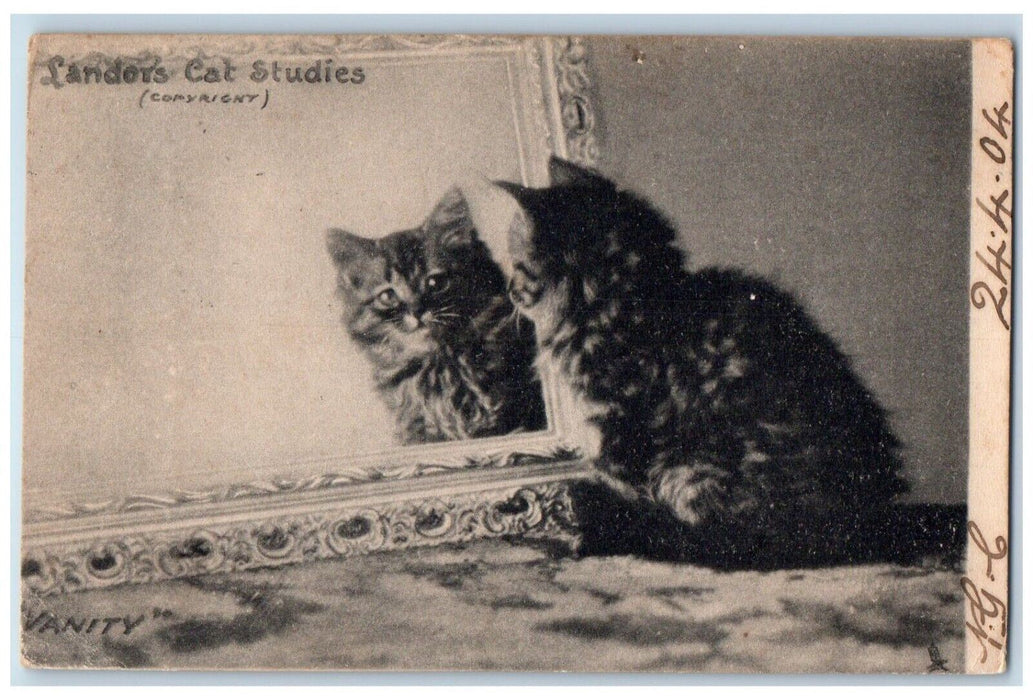 c1910's Landor's Cat Studies Vanity Mirror Portsmouth New Hampshire NH Postcard