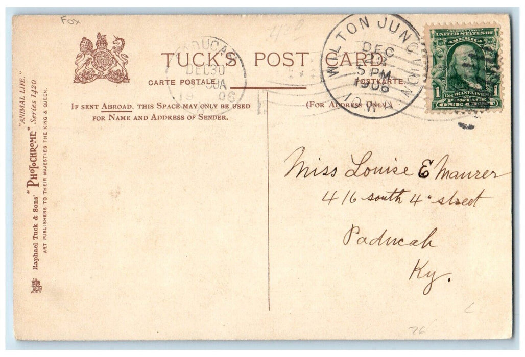 1906 Sharing The Spoils Animals Tuck's Wilton Junction Iowa IA Antique Postcard