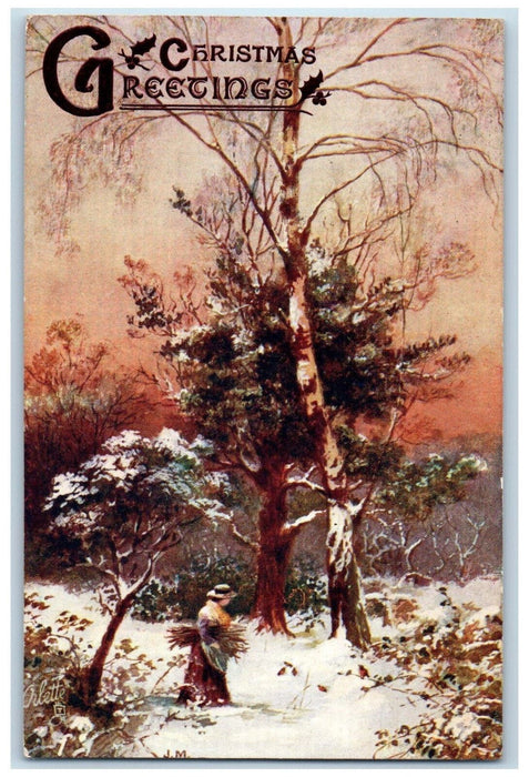 1910 Christmas Greetings Winter's Mantle Oilette Tuck Art Antique Postcard