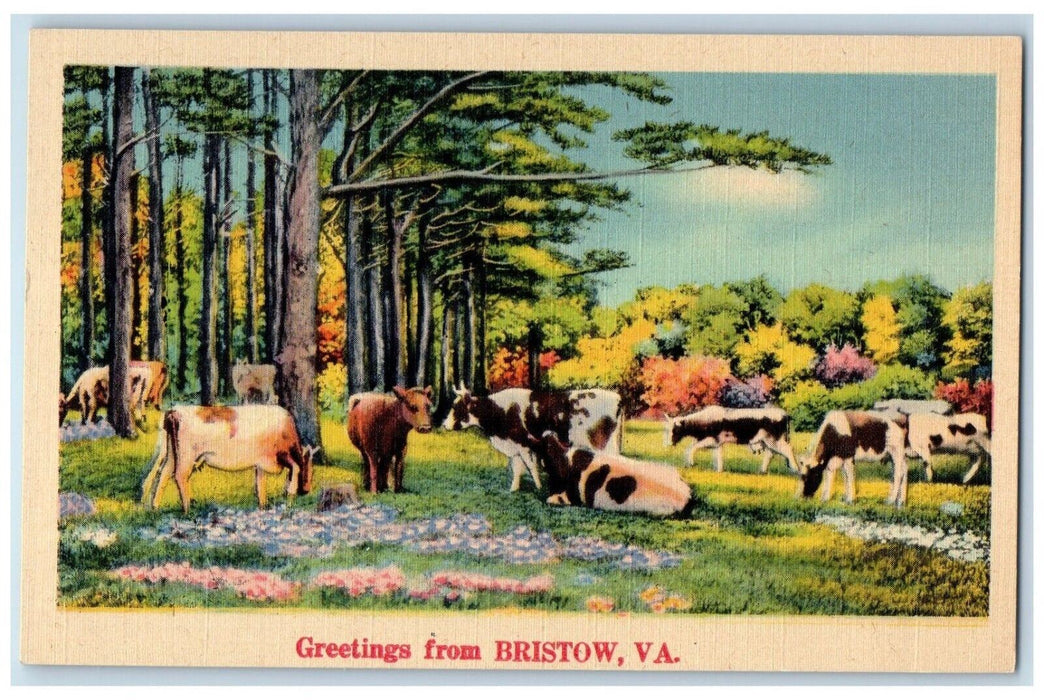 c1940 Greetings From Bristow Virginia VA Banner Animals Trees Vintage Postcard