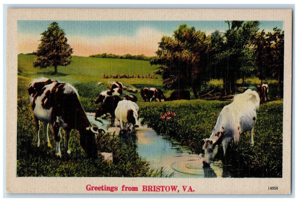 c1940 Greetings From Bristow Virginia VA Banner Animals River Antique Postcard