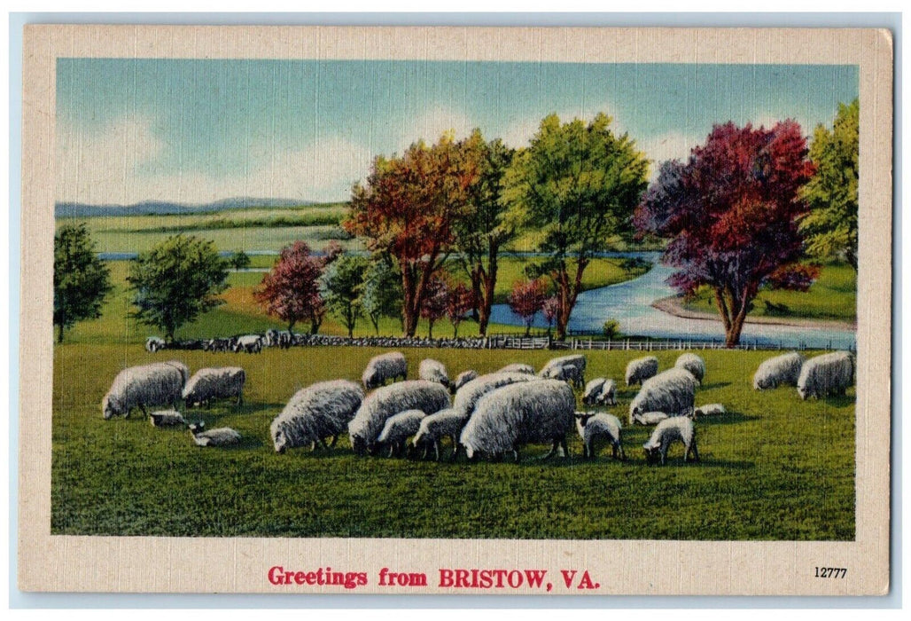 1940 Greetings From Bristow Virginia VA Banner River Tree Sheep Antique Postcard