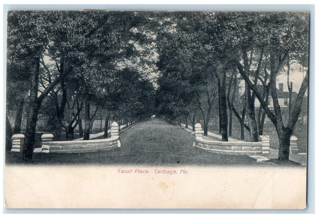 c1905 Cassil Place Street Road Trees Carthage Missouri Vintage Antique Postcard