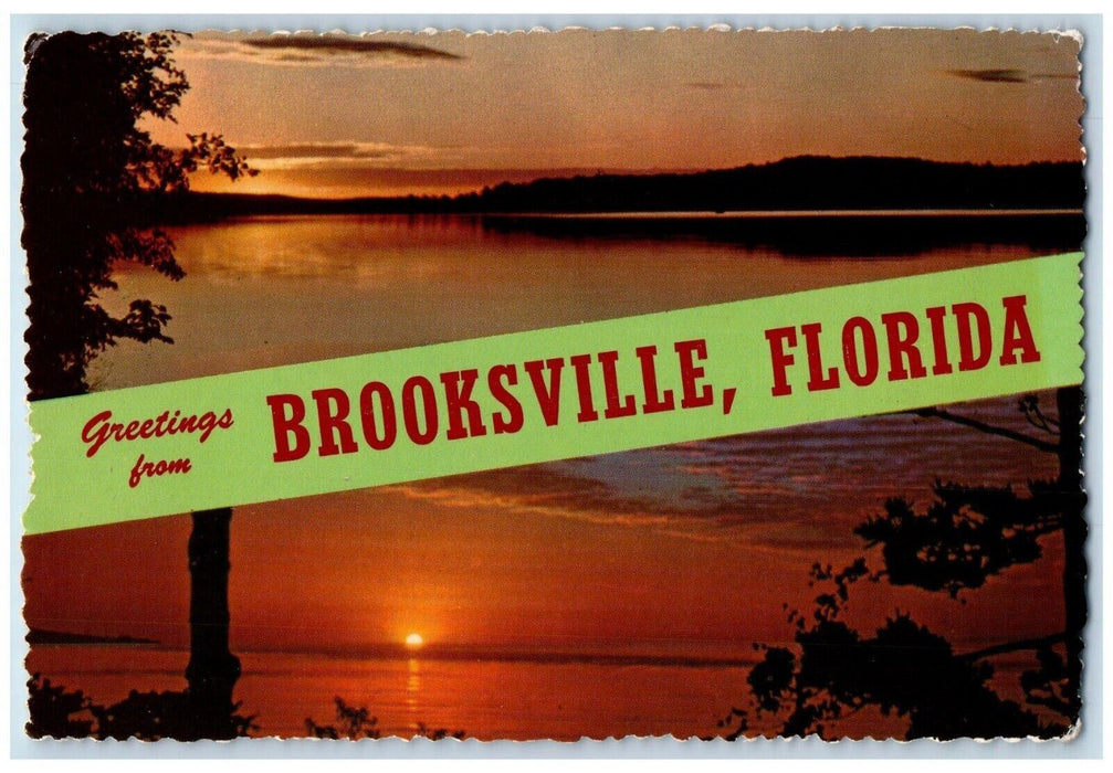 c1960 Greetings From Brooksville Florida FL Multi-View International Postcard