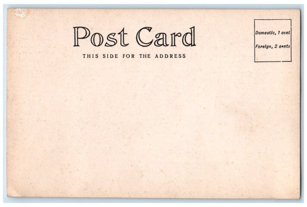 c1905 Main Street Milk Delivery Horse Business Elba NY RPPC Photo Postcard