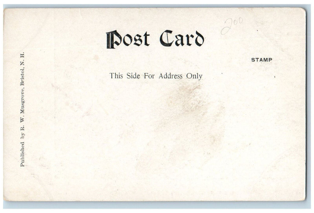 c1905 Summit of Mt. Cardigan Alexandria New Hampshire NH Antique Postcard