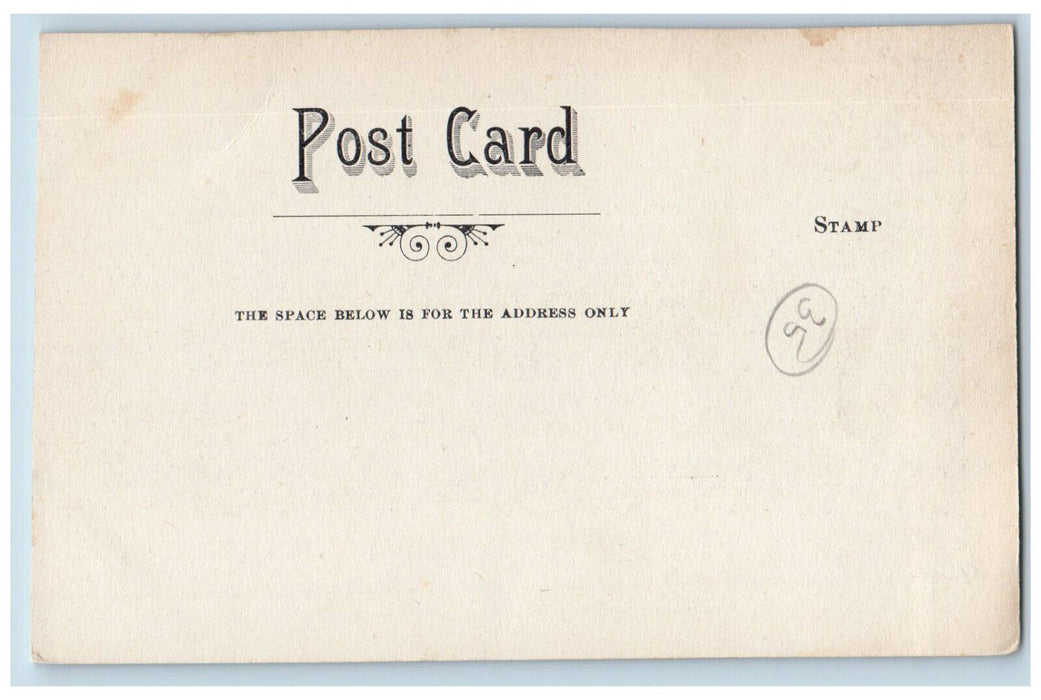 c1905 Proctor Academy Boarding Hall Andover New Hampshire NH Antique Postcard