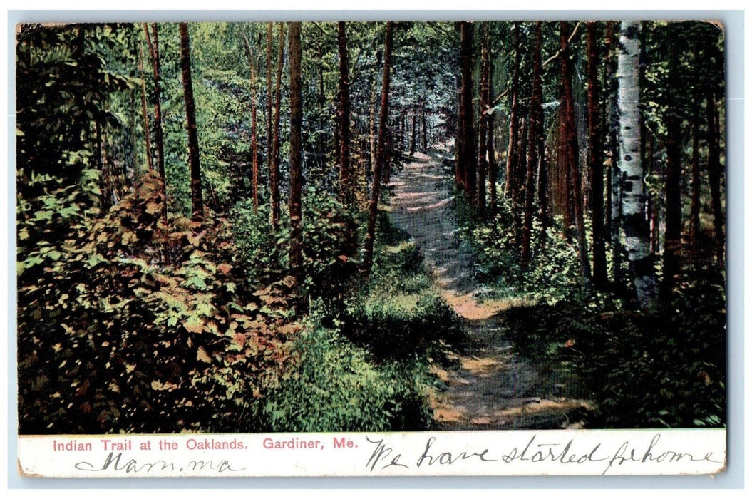 1908 Indian Trail At The Oaklands Forest Gardiner Maine ME Antique Postcard