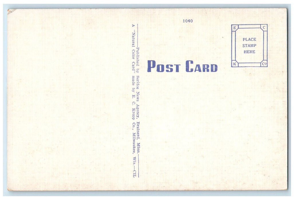 c1940's Entrance to Library, Detroit Lakes Minnesota MN Vintage Postcard