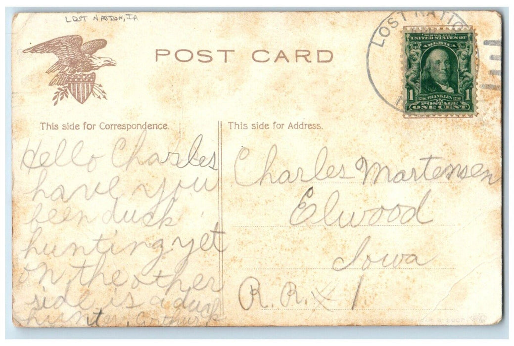 c1910's Ox Chasing Man Hunting Lost Nation Iowa IA Posted Antique Postcard