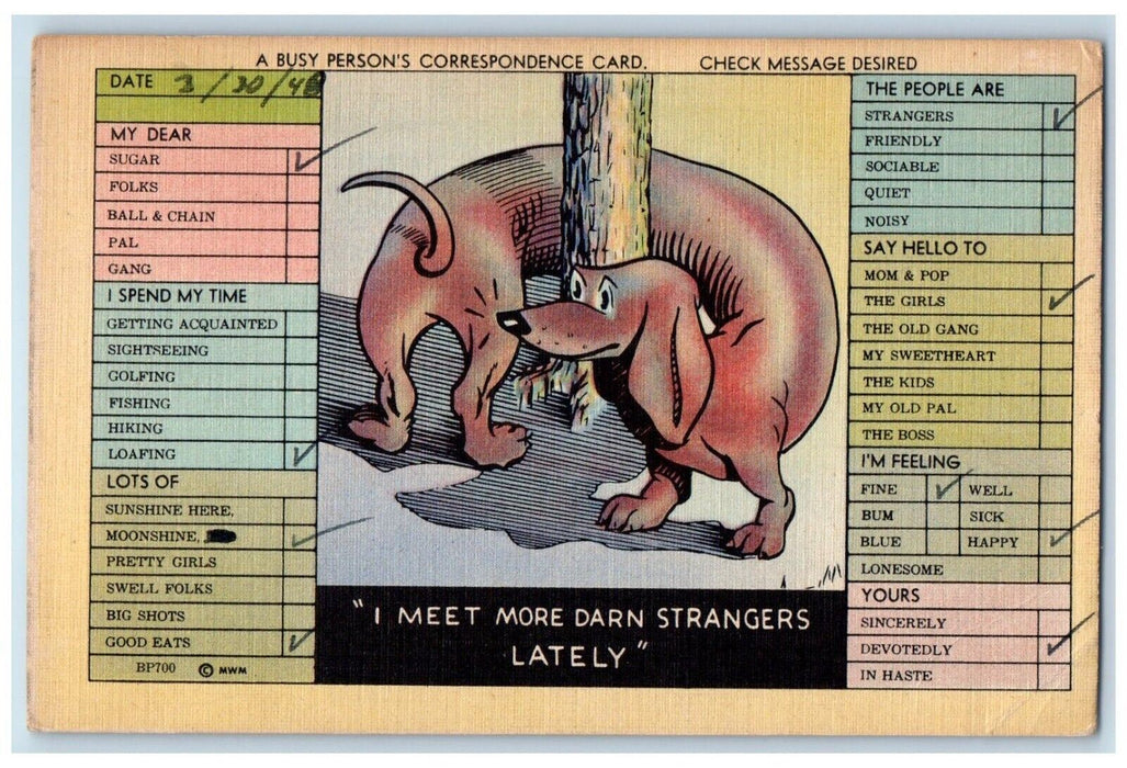 1948 Dachshund Dog Correspondence Checklist Champaign Illinois IL Postcard