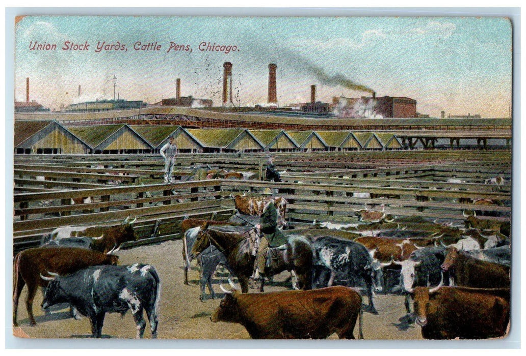 1908 Union Stocks Yards Cattle Pens Scene Chicago Illinois IL Posted Postcard