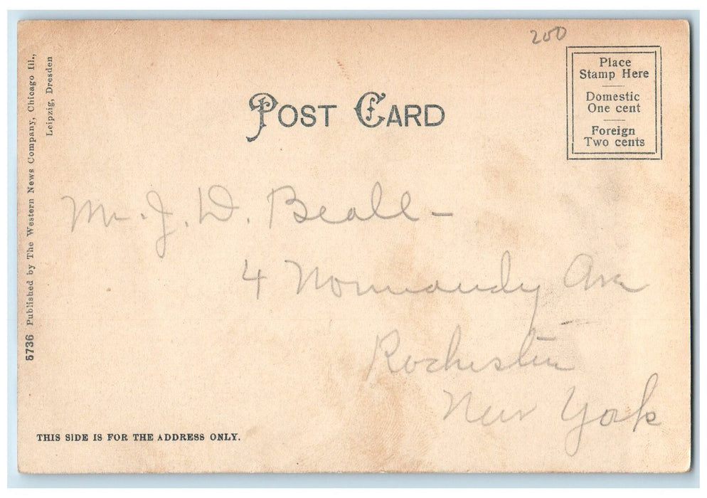 c1905's Mc Kinley High School Chicago Illinois IL Unposted Vintage Postcard