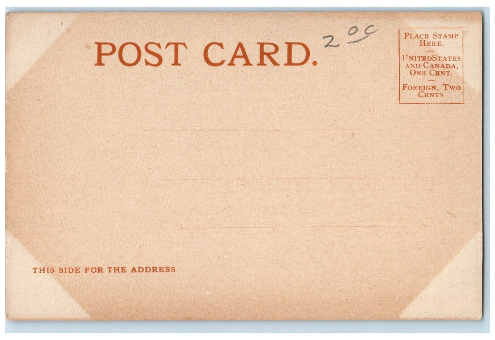 c1905's Contented And At Home Hogs Barn In Chicago Illinois IL Unposted Postcard
