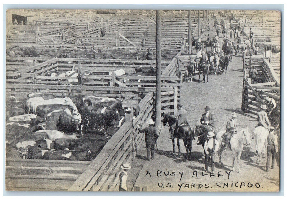 1909 A Busy Alley US Yards Cow boys Fence Chicago Illinois IL Posted Postcard