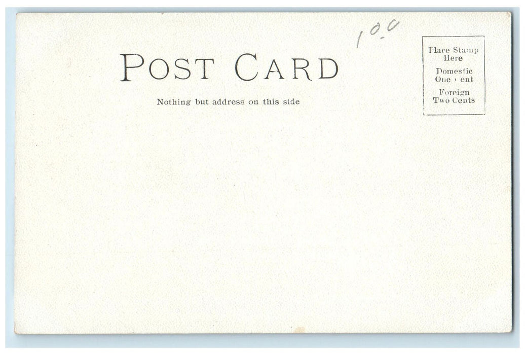 c1905's Cobb Hall Exterior Scene University Of Chicago IL Unposted Tree Postcard