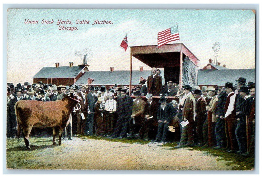 c1910's Union Stock Yards Cattle Auction Chicago Illinois IL Unposted Postcard